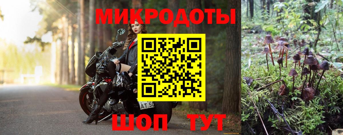 Галлюциногенные грибы GOLDEN TEACHER  магазин продажи   Галлюциногенные грибы GOLDEN TEACHER  Ржев  Вход с VPN 